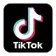  TikTok: Capturing Attention 