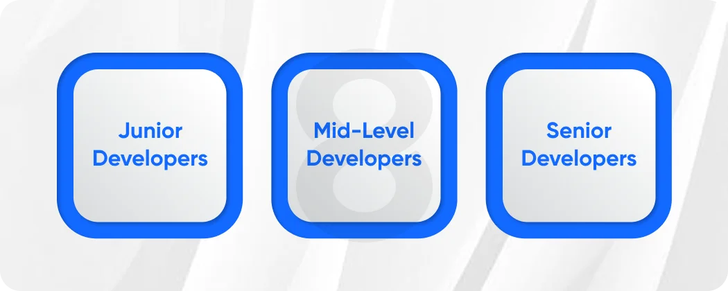 Understanding Developer Experience Levels