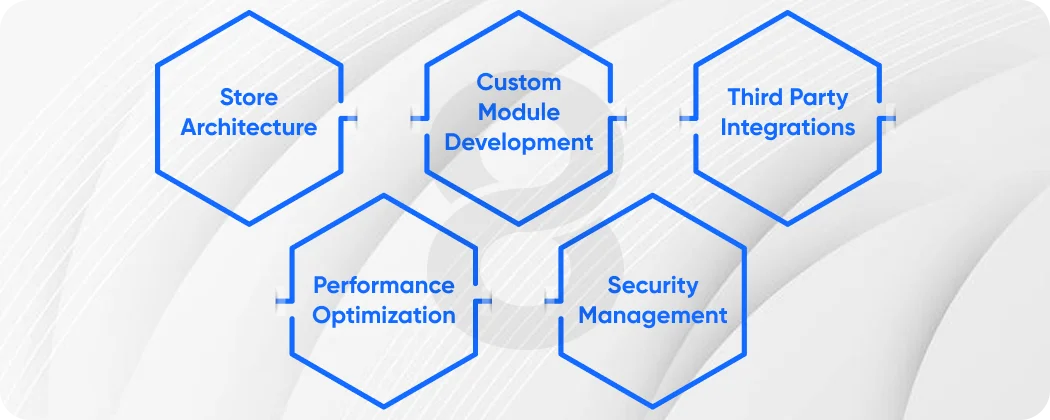 What Magento Developers Actually Do
