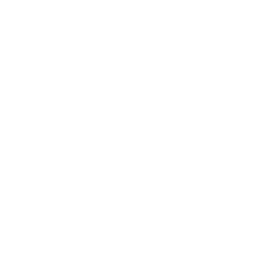 Discovery & Consultation