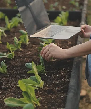 NativeScript App Development - Agriculture Apps