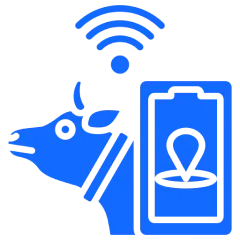 Card - Pet Fitness Tracker App