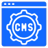 Custom CMS Development Services