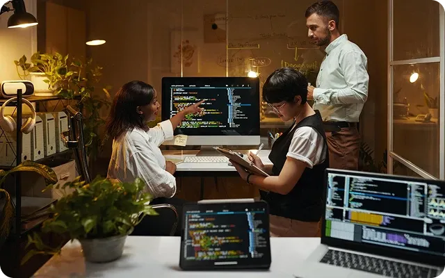 Development & Execution